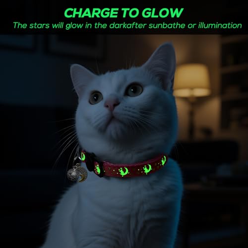 Katzenhalsband mit Glöckchen und Anhänger 2 Katzenhalsband mit Glöckchen und Anhänger - Image 2
