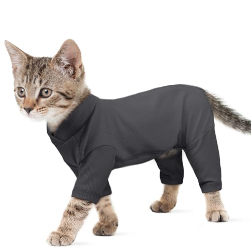 Katzenpullover