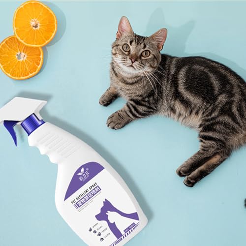 Haustier-Toilettentraining für Hunde und Katzen 4 Haustier-Toilettentraining für Hunde und Katzen - Image 4