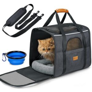 Katzentransportbox