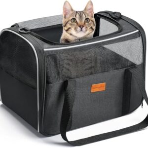 Katzenbox