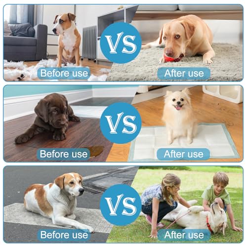 Hunde Clicker mit großem Knopf 4 Stück 4 Hunde Clicker mit großem Knopf 4 Stück - Image 4
