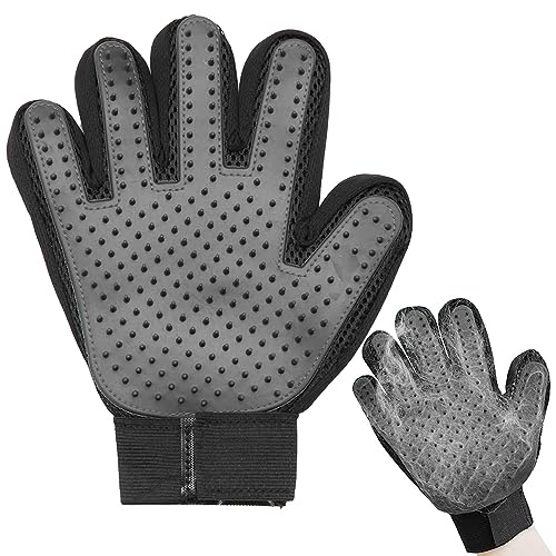 Katzenhandschuh