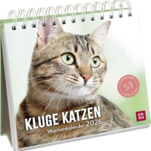 Katzenkalender