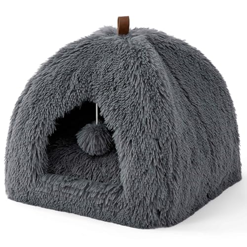 Katzenbett