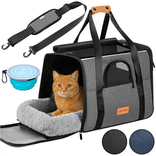 Katzenbox