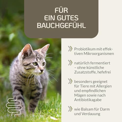 Probiotika Katze - Provicell EM Vital 250 ml 2 Probiotika Katze - Provicell EM Vital 250 ml - Image 2
