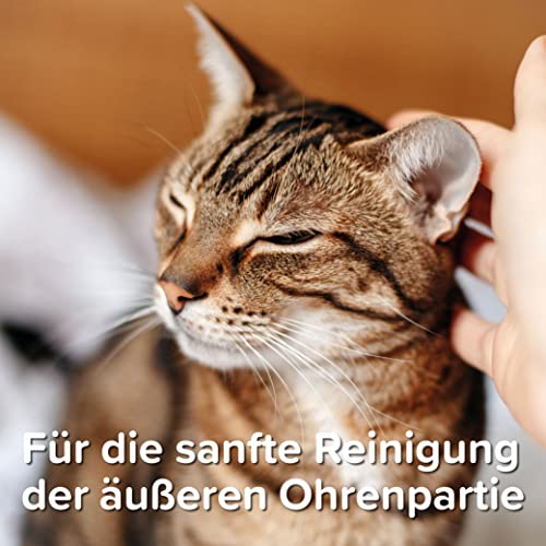 Beaphar Sensitiv Ohrenreiniger für Hunde & Katzen 6 Beaphar Sensitiv Ohrenreiniger für Hunde & Katzen - Image 6