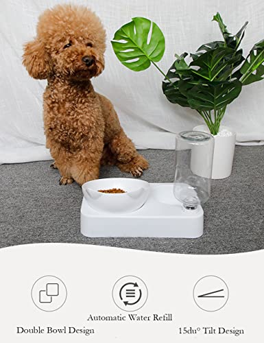 Katzennapf mit Wasserflasche für Hunde und Katzen 5 Katzennapf mit Wasserflasche für Hunde und Katzen - Image 5