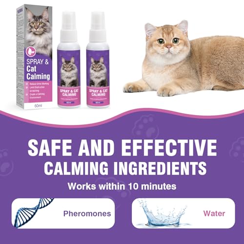 Katzen Beruhigungsspray 60ml 2 Stück 5 Katzen Beruhigungsspray 60ml 2 Stück - Image 5