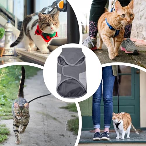 Winddichter Mantel für Katzen und kleine Hunde 3 Winddichter Mantel für Katzen und kleine Hunde - Image 3