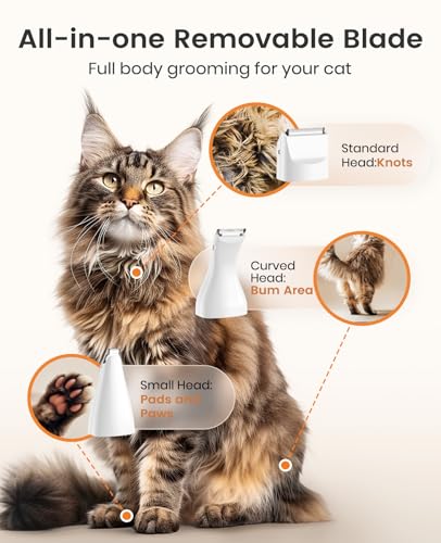oneisall 3in1 Schermaschine für Katzen und Hunde 2 oneisall 3in1 Schermaschine für Katzen und Hunde - Image 2