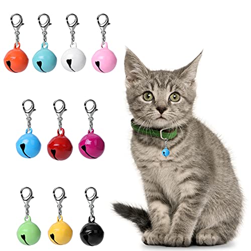Katzenhundehalsband