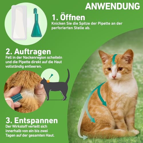 FRONTLINE Combo Katze gegen Flöhe, Zecken, Haarlinge 3 FRONTLINE Combo Katze gegen Flöhe, Zecken, Haarlinge - Image 3
