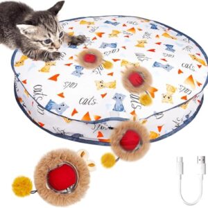 Katzen Spielteppich