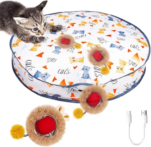 Katzen Spielteppich