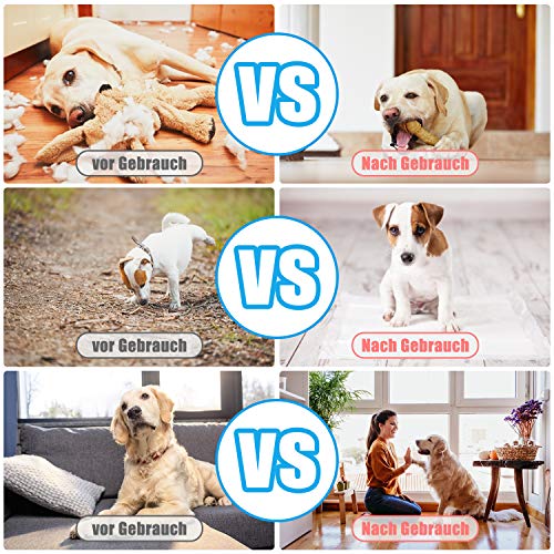 Diyife Hunde Clicker mit Handschlaufe (2 Stück) 3 Diyife Hunde Clicker mit Handschlaufe (2 Stück) - Image 3