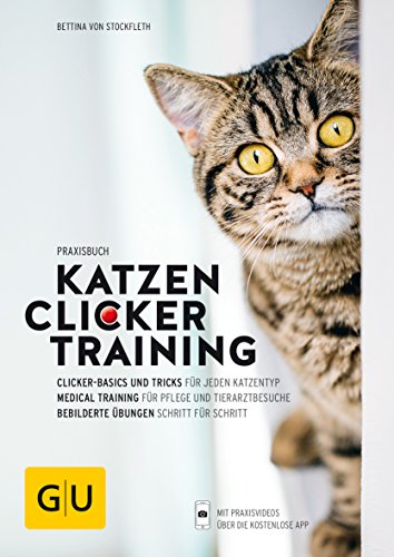 Katzen-Clickertraining