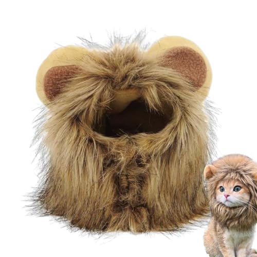 Katzenmütze Löwenmähne