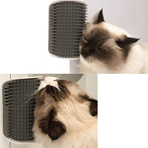 Weicher Katzenbürste mit Katzenminze, 4er Pack 3 Weicher Katzenbürste mit Katzenminze, 4er Pack - Image 3