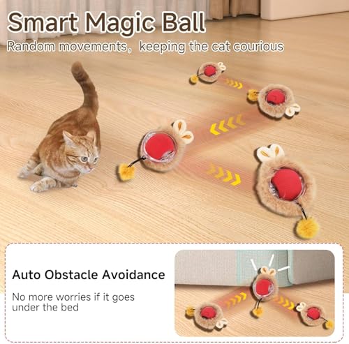 Katzen Spielteppich 2 in 1 mit Ball 4 Katzen Spielteppich 2 in 1 mit Ball - Image 4